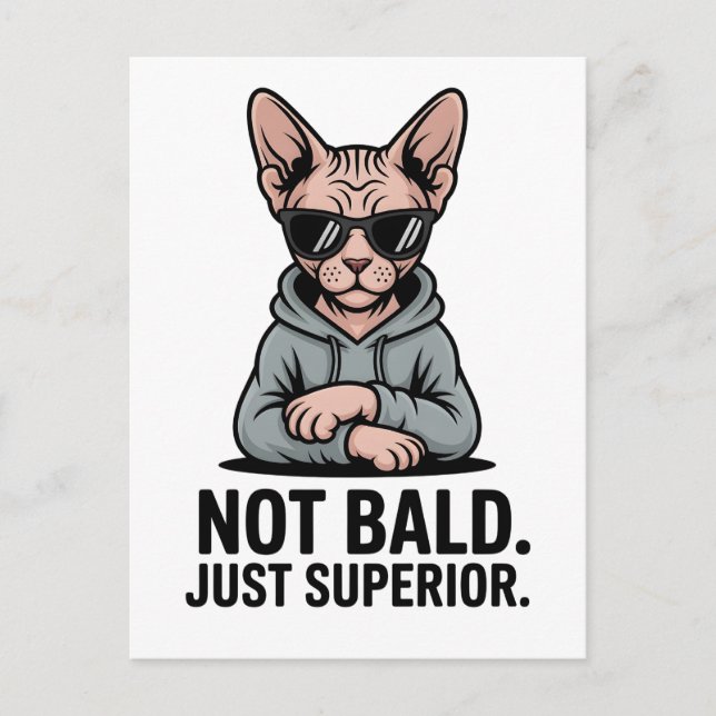 Postal Gato Sphynx Superior Actitud Sarcástica Arte (Anverso)
