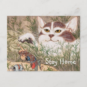 Postal Gato supernatural