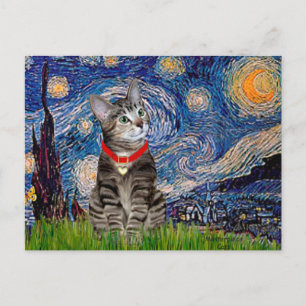 Postal GATO (Tabby2) - Noche estrellada