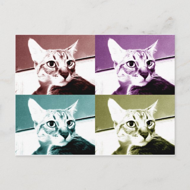 Postal Gato tabby - Arte pop (Anverso)