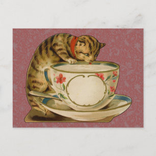 Postal Gato Taza de Té Lindo Vintage Victoriano Mascota C