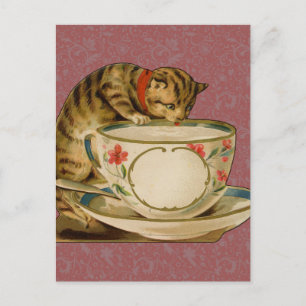 Postal Gato Taza de Té Lindo Vintage Victoriano Mascota C