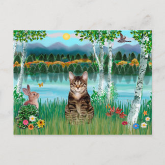 Postal Gato Tigre Tabby - Abedules