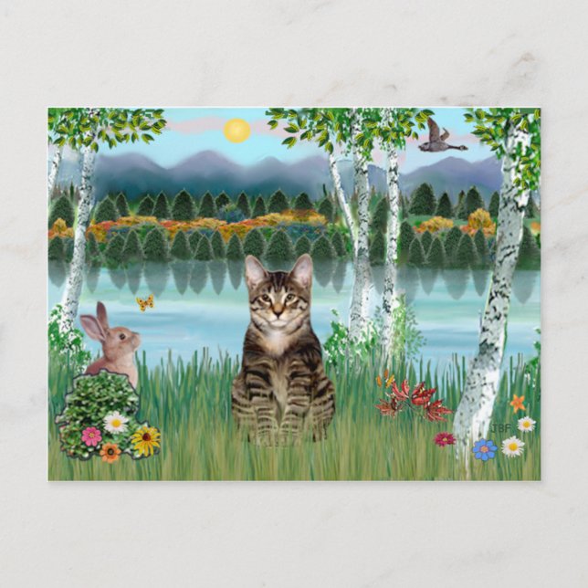Postal Gato Tigre Tabby - Abedules (Anverso)