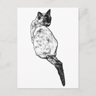 Postal Gato Tranquilo, Saludos Suaves