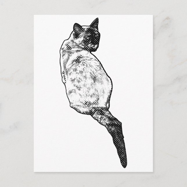 Postal Gato Tranquilo, Saludos Suaves (Anverso)