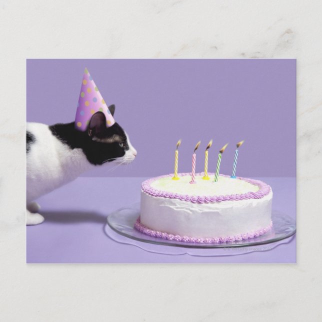 Postal Gato usando gorra de cumpleaños soplando velas (Anverso)