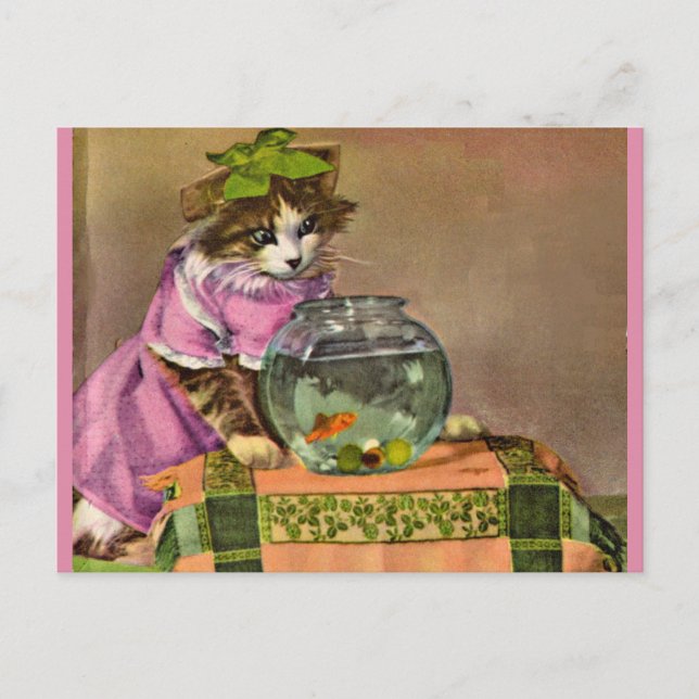 Postal gato vestido y tazón de pescado (Anverso)