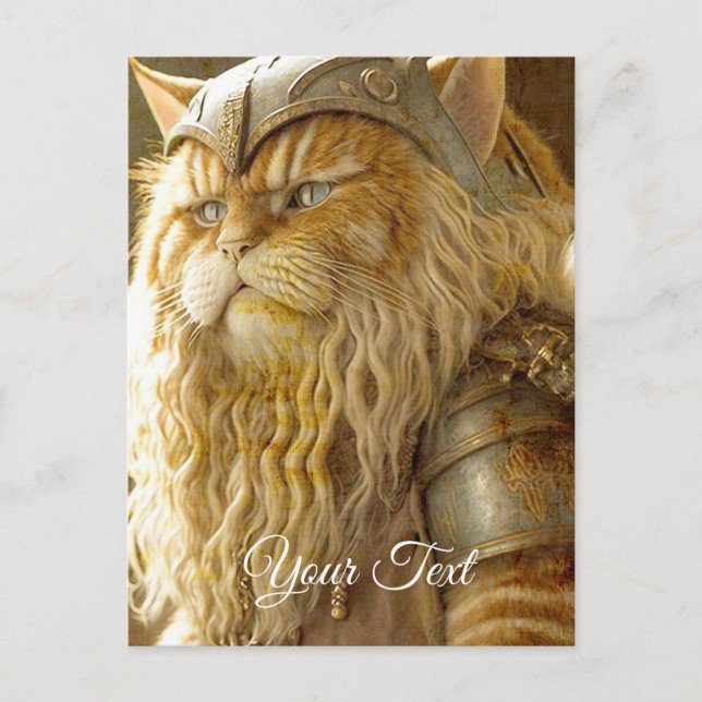 Postal Gato Viejo Viking. (Anverso)