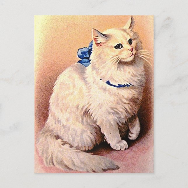 Postal Gato vintage con arco azul (Anverso)