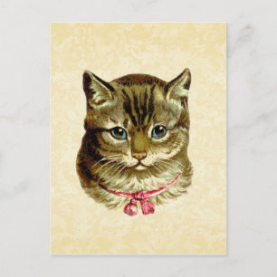 Postal Gato vintage con arco rosado