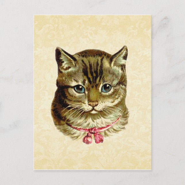 Postal Gato vintage con arco rosado (Anverso)