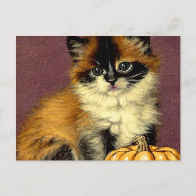 Postal Gato Vintage Ragdoll Halloween (Anverso)