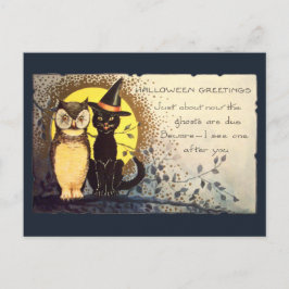 Postal Gato y búho amistosos azul oscuro, Halloween vinta