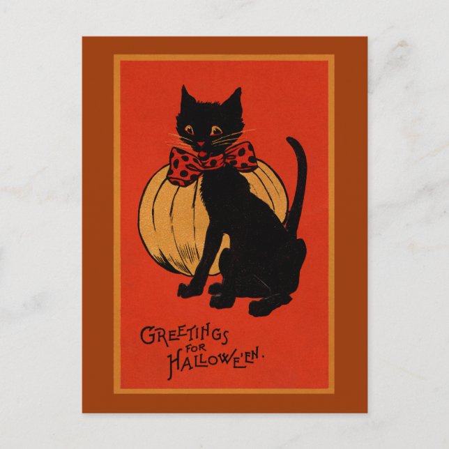 Postal Gato y calabaza de Halloween (Anverso)