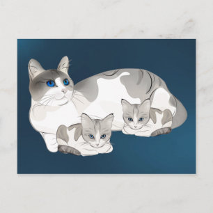 Postal gato y gatitos