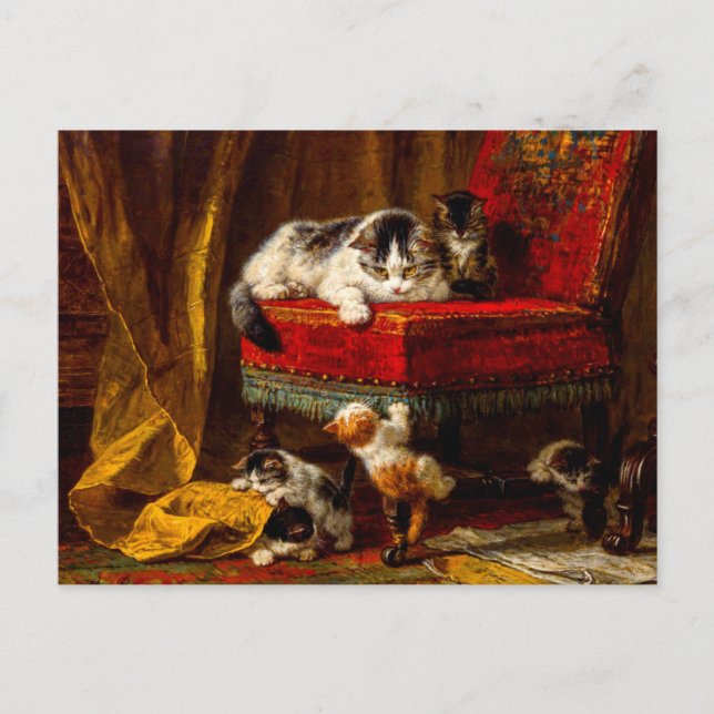 Postal Gato y gatitos jugando con silla (Anverso)