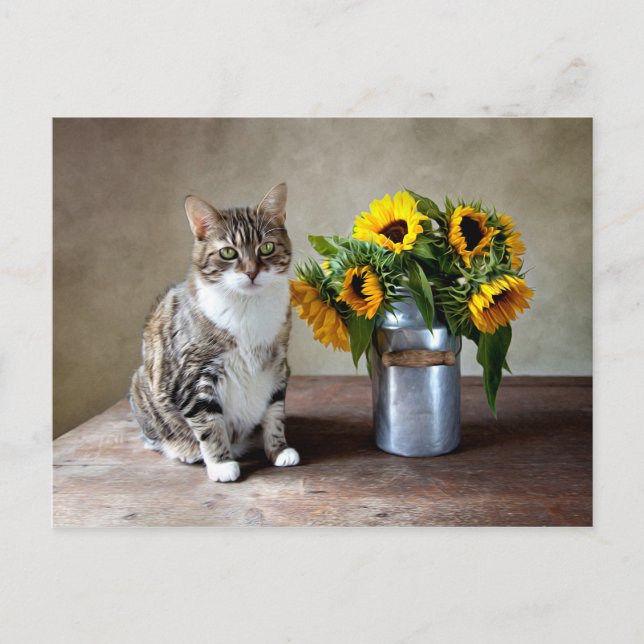 Postal Gato y girasoles (Anverso)