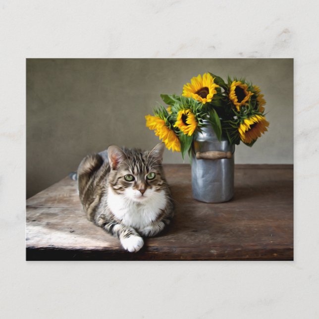 Postal Gato y girasoles (Anverso)
