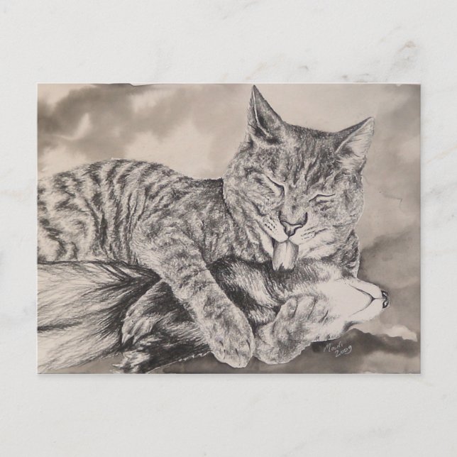 Postal Gato y hurto (Anverso)