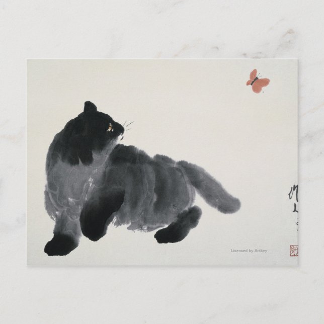 Postal Gato y mariposa (Anverso)