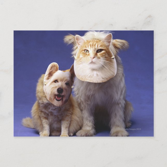 Postal Gato y perro con máscaras (Anverso)