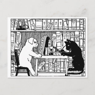 Postal Gato y perro en la biblioteca