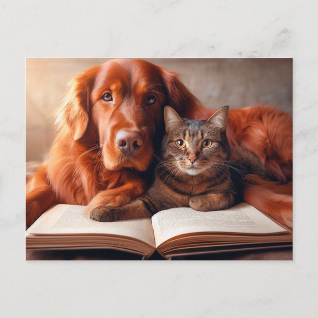 Postal Gato y perro leyendo un libro (Anverso)