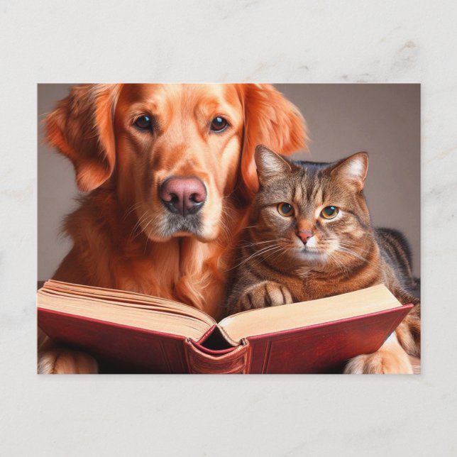 Postal Gato y perro leyendo un libro (Anverso)