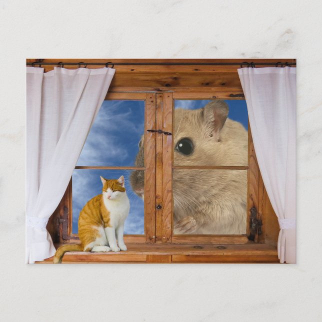 Postal Gato y ratón divertidos (Anverso)