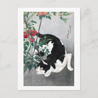 Postal Gato y tomate, Takahashi Shotei