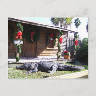 Postal Gator