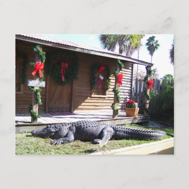 Postal Gator (Anverso)