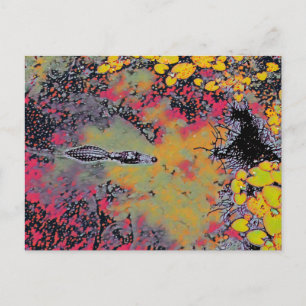 Postal Gator abstracto
