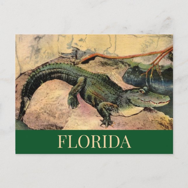 Postal Gator de Florida (Anverso)