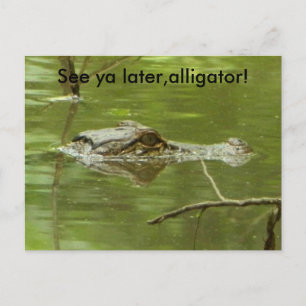 Postal Gator en el agua cerca