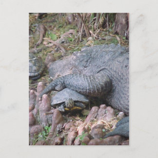 Postal "Gator Hugs"