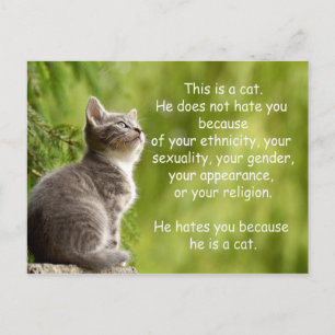 Postal Gatos