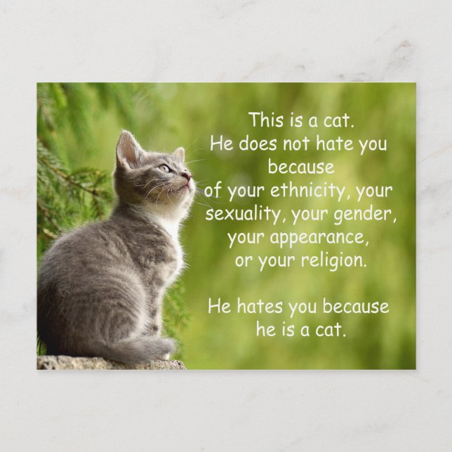 Postal Gatos (Anverso)