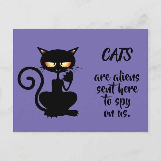 Postal gatos (Anverso)