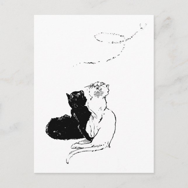 Postal Gatos, Alexandre Steinlen (Anverso)