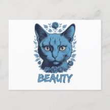 gatos amantes de la belleza de gatos