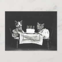 Gatos Antiguos en una Fiesta de Cumpleaños