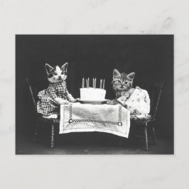 Postal Gatos Antiguos en una Fiesta de Cumpleaños