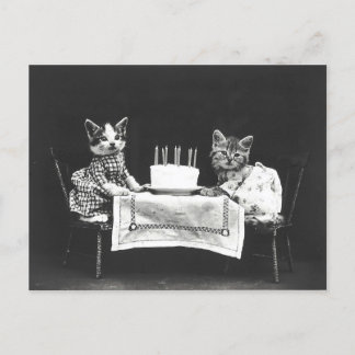 Postal Gatos Antiguos en una Fiesta de Cumpleaños