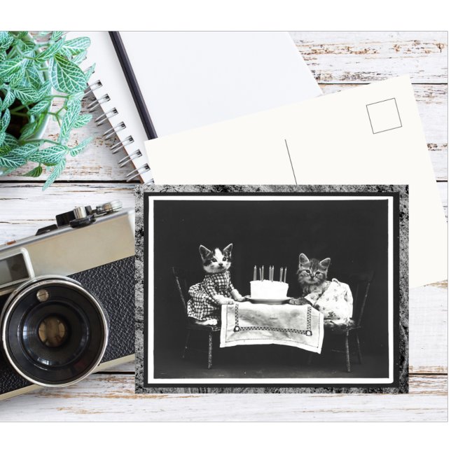 Postal Gatos antiguos y pastel de cumpleaños (Subido por el creador)