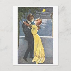 Postal Gatos bailando con ropa nocturna