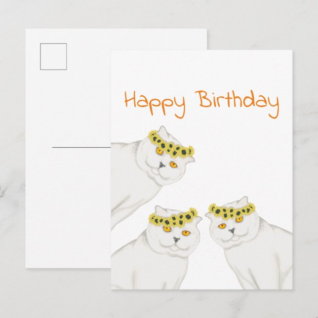 Postal Gatos blancos Feliz Cumpleaños (Anverso / Reverso)