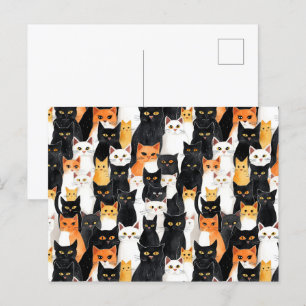 Postal Gatos blancos Naranjas negros