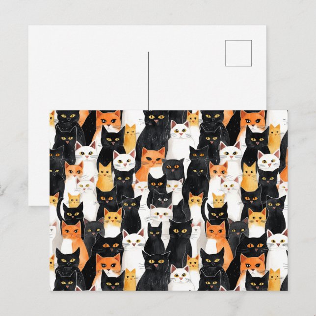 Postal Gatos blancos Naranjas negros (Anverso / Reverso)